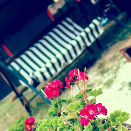 לינה וארוחת בוקר Red House